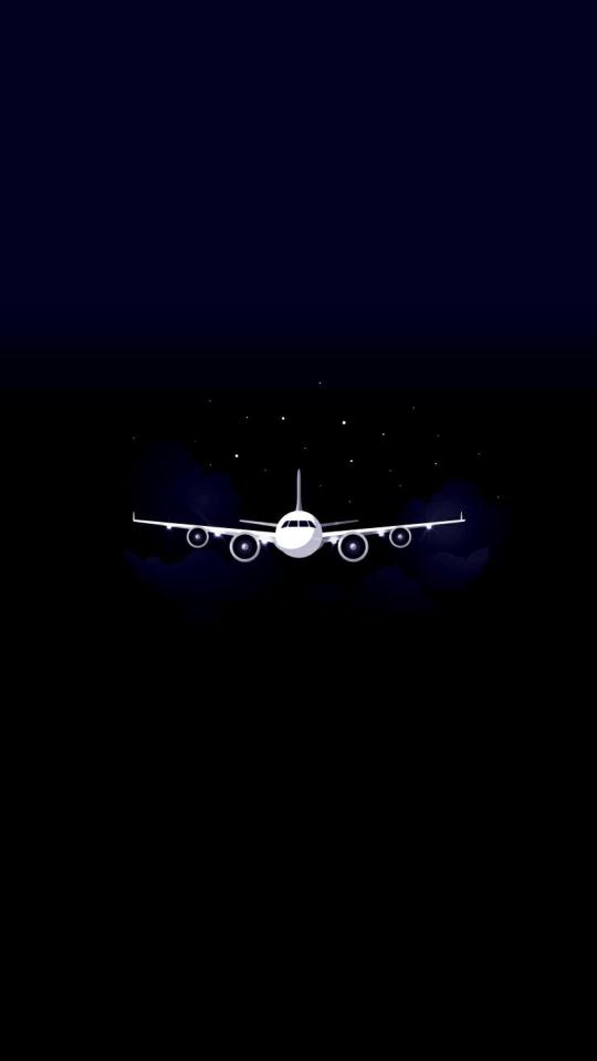 Airplane in Night Sky