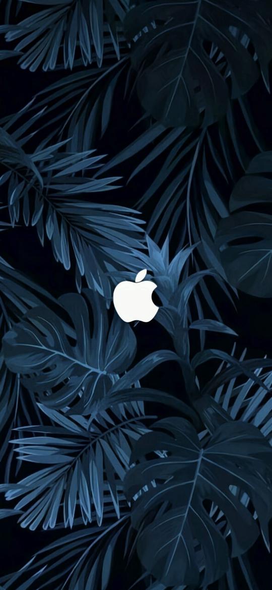 Apple Tropical Dark Leaves - Related 4K Wallpapers wallpaper