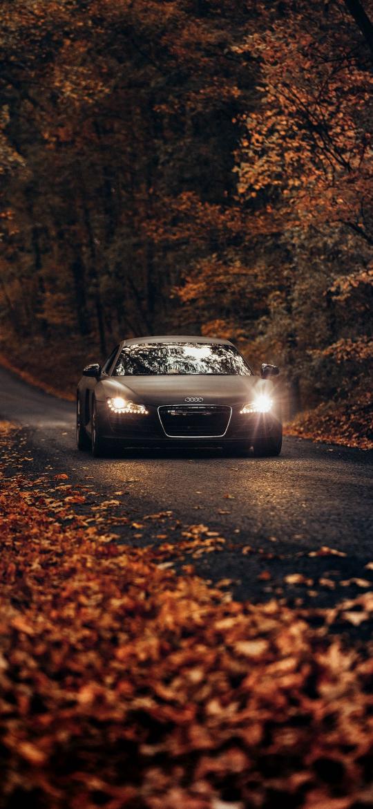 Autumn Audi Drive - Related 4K Wallpapers wallpaper