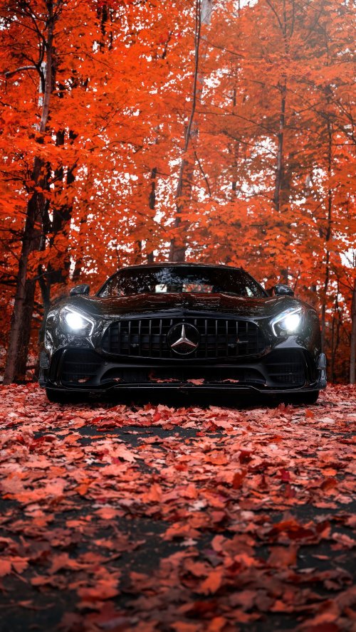 Autumn Mercedes AMG