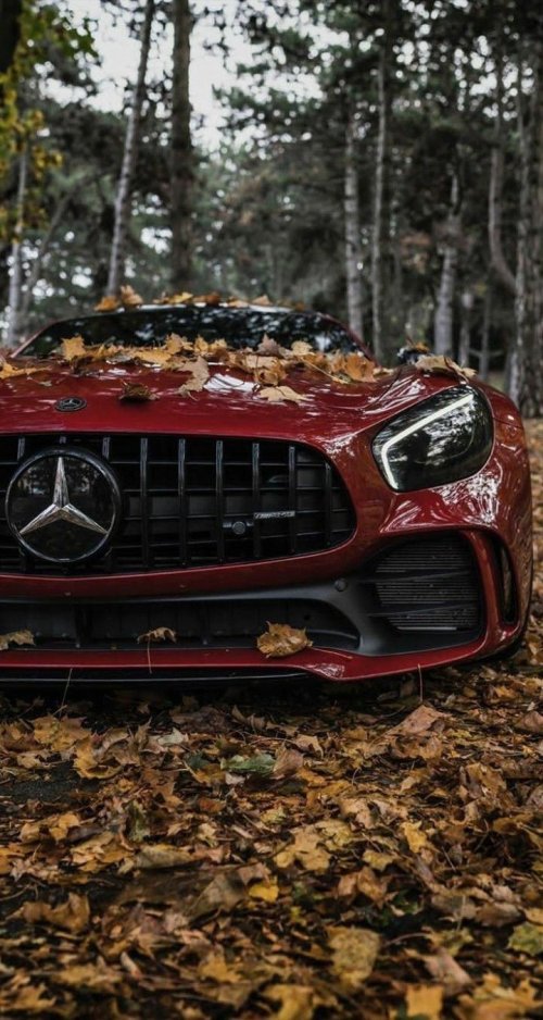Autumn Mercedes-Benz - mercedes-benz Wallpaper