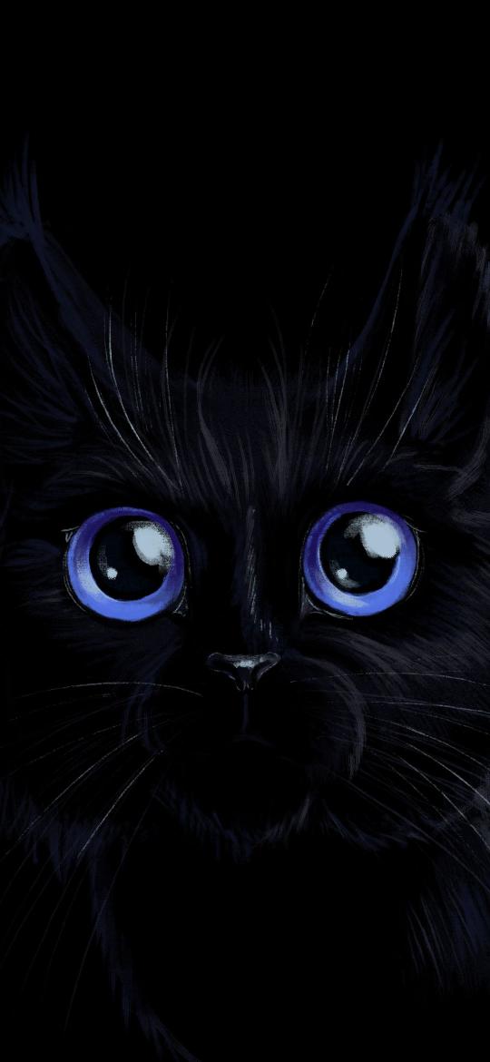 Blue Eyed Black Cat