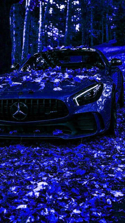 Blue Mercedes in Autumn - mercedes-benz Wallpaper