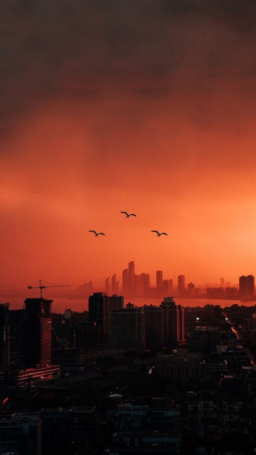 Crimson Cityscape with Birds - Related  wallpaper