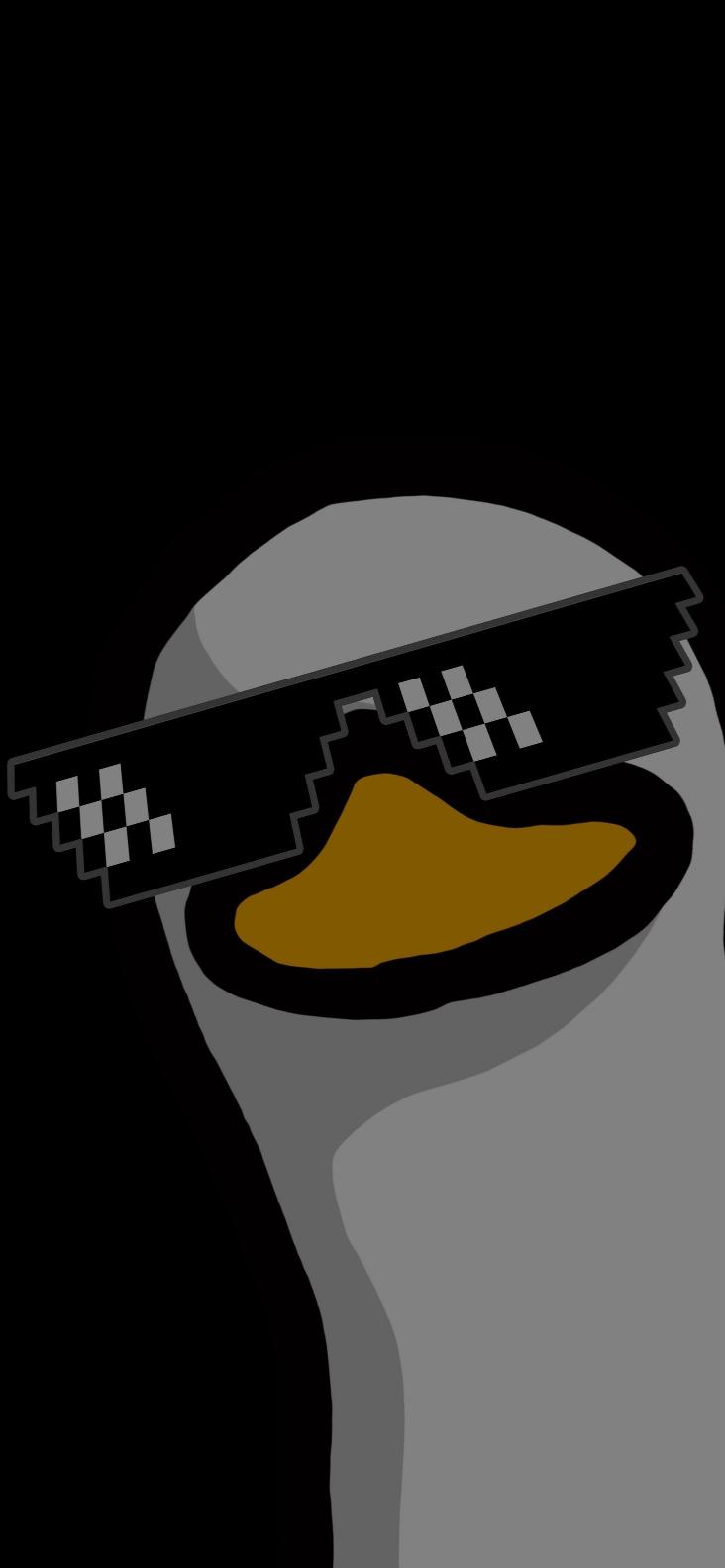 Deal With It Duck