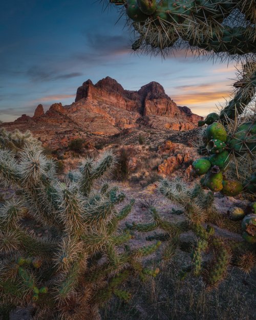 Desert Mountain Cactus Sunset