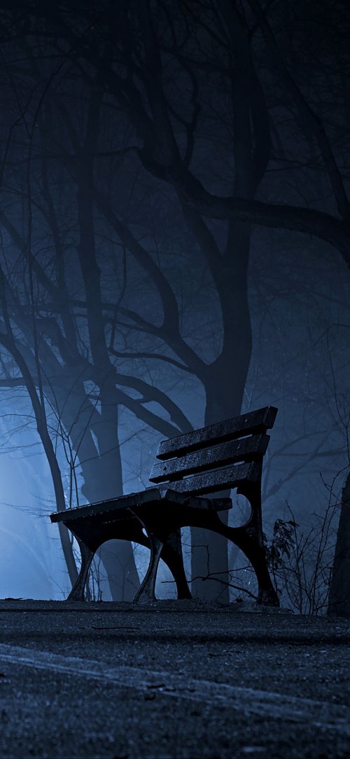 Eerie Park Bench Scene