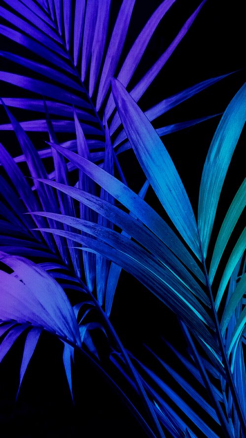 Electric Palm Leaves