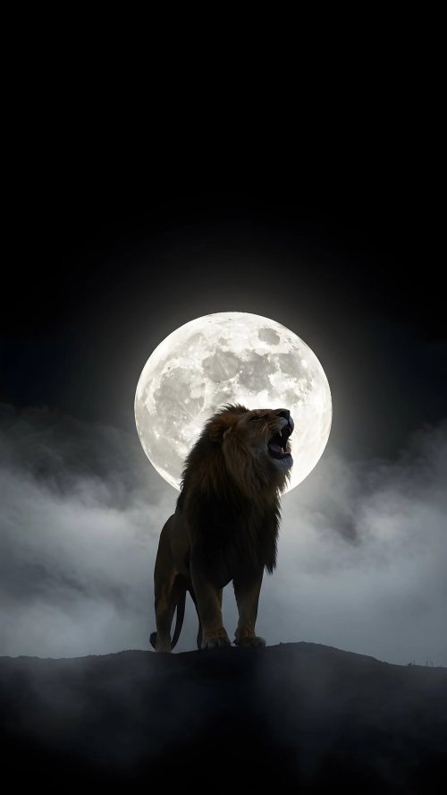 Lion's Lunar Roar - lion Wallpaper