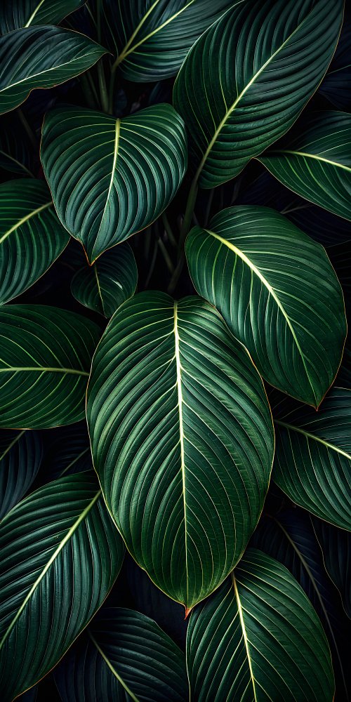 Lush Tropical Green Leaves