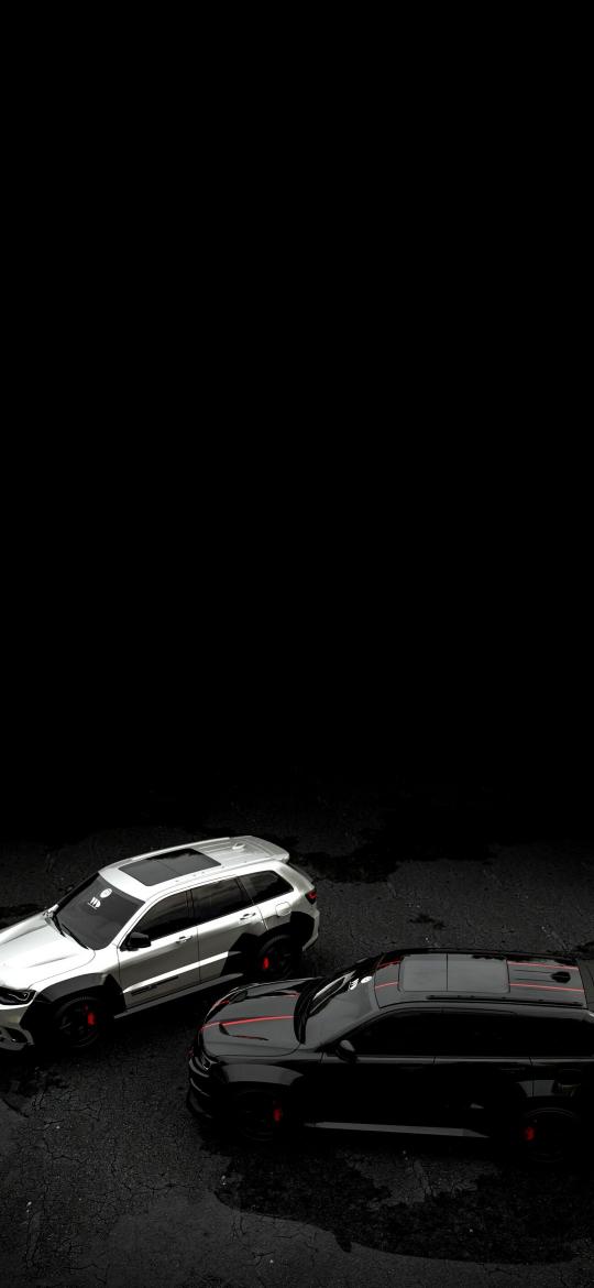 Luxury Car Duo