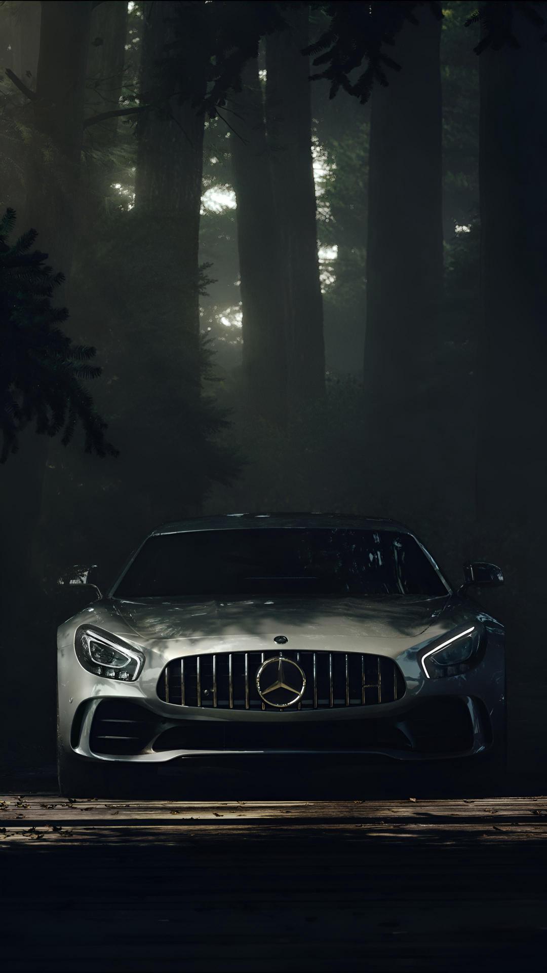 Mercedes in Misty Forest