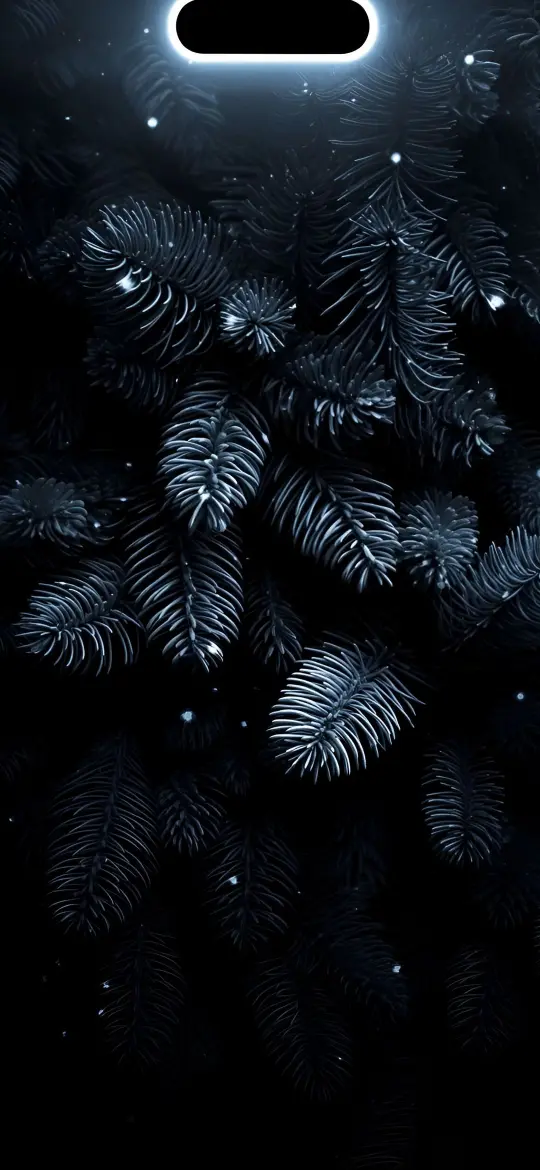 Midnight Pine Forest - Related Ghetto Wallpapers wallpaper