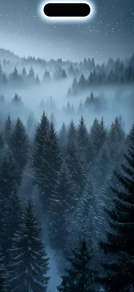 Misty Forest Night