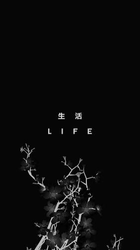 Monochrome Floral Life - Related 4K Wallpapers wallpaper