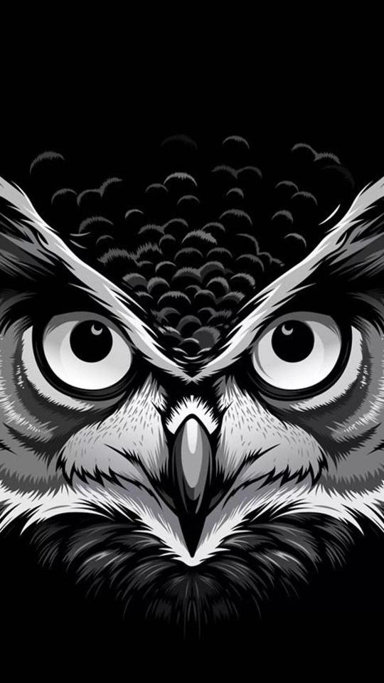 Monochrome Owl Gaze