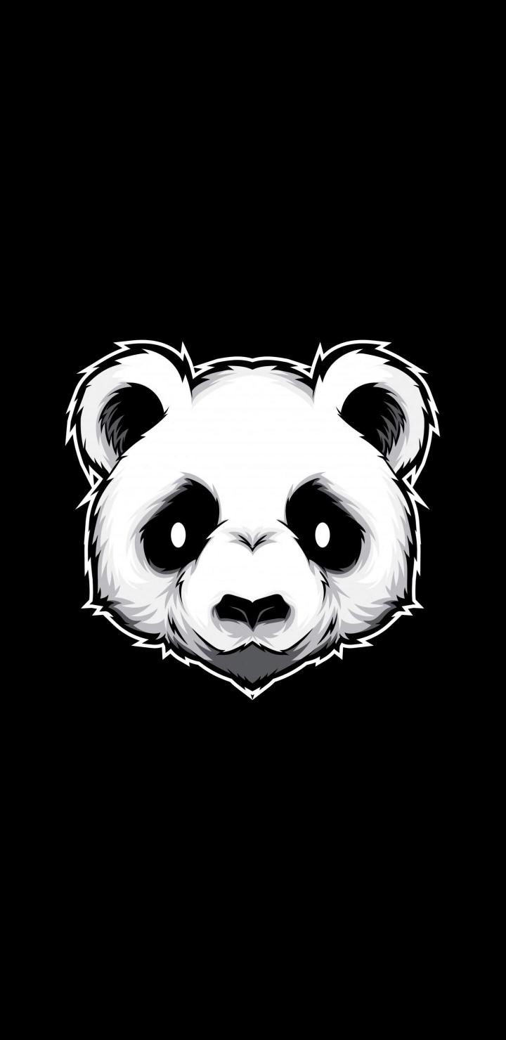Monochrome Panda Portrait
