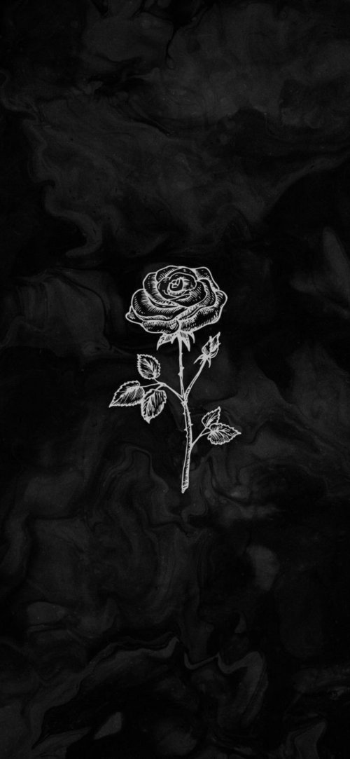 Monochrome Rose Sketch - Related 4K Wallpapers wallpaper