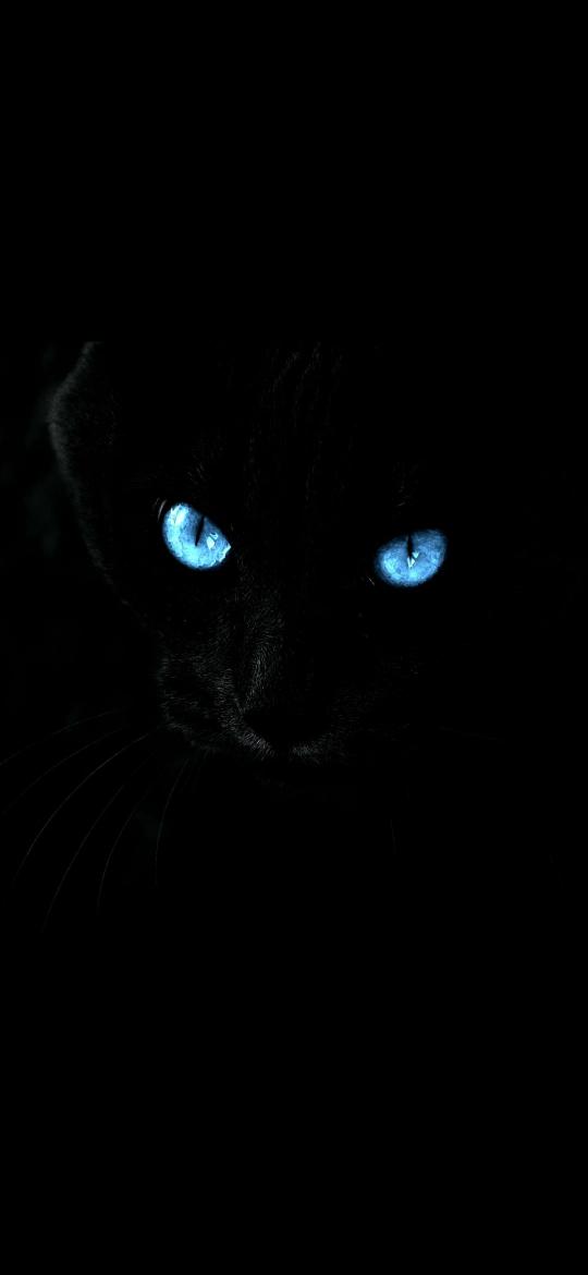 Mystic Blue Cat Eyes