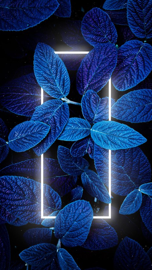 Neon Blue Leaf Frame - Related StockWalls wallpaper