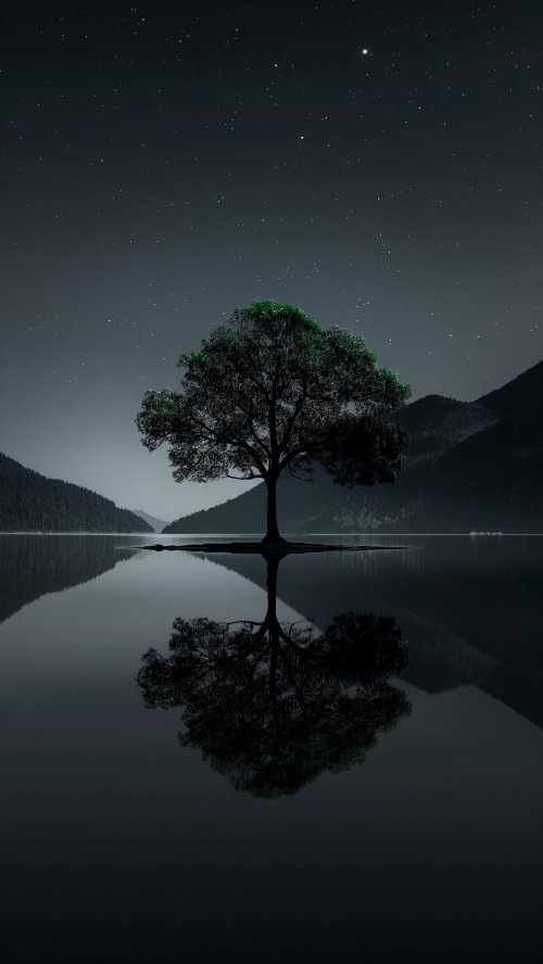 Night Tree Reflection Serenity