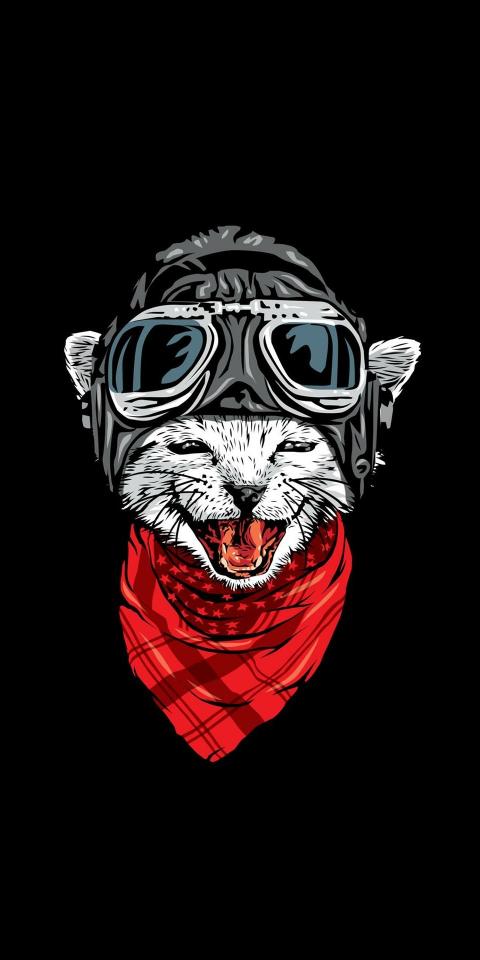Pilot Cat Illustration - Related Dark Wallpapers wallpaper