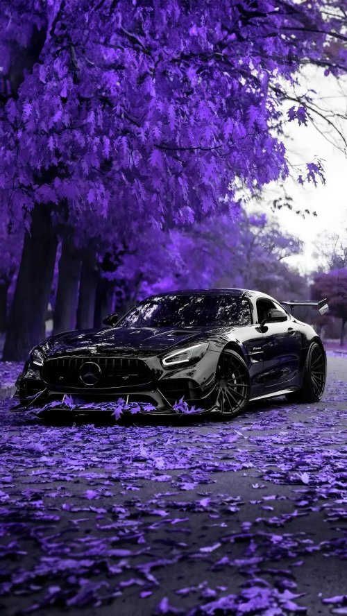 Purple Forest Car - mercedes-benz Wallpaper