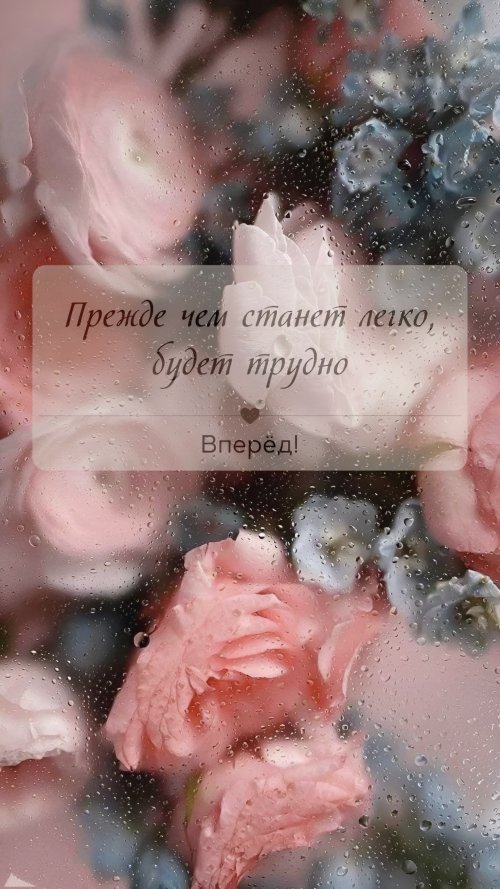 Rainy Day Roses - Related Ghetto Wallpapers wallpaper