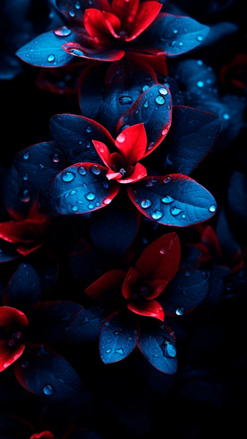 Red and Blue Dewdrops