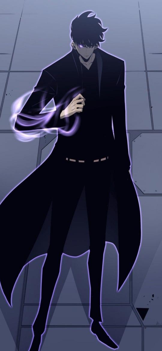 Shadow Monarch's Power