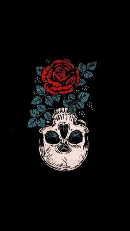 Skull and Rose Graphic - Related 4K Wallpapers wallpaper