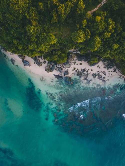 Tropical Coastline Aerial View