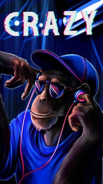 Crazy Monkey Beats - Related Anime Wallpapers wallpaper