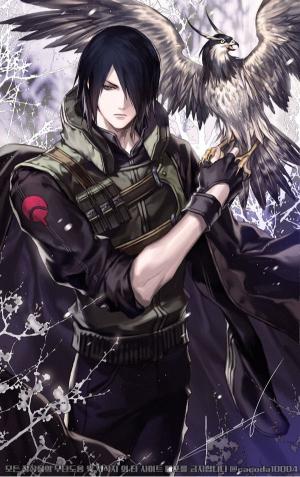 Sasuke and his Hawk - Related Anime Wallpapers wallpaper