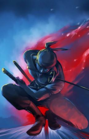 Stealthy Ninja Warrior