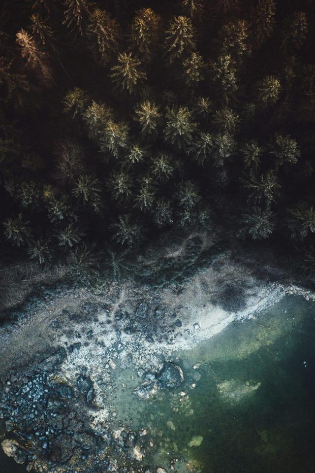 Aerial Forest Lake View