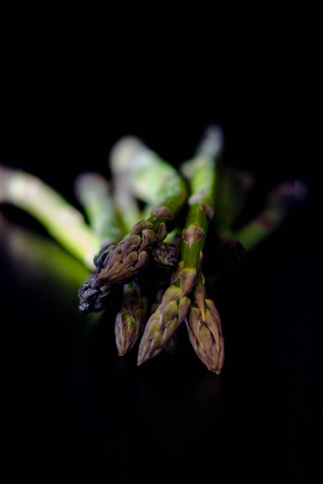 Asparagus Still Life