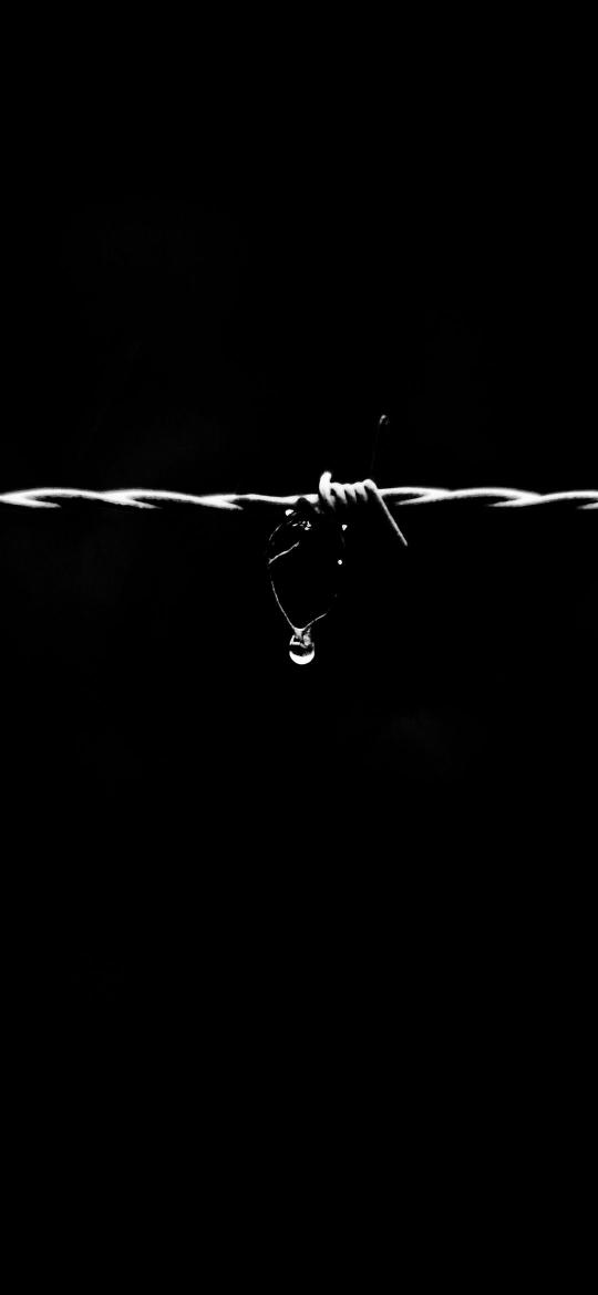 Barbed Wire Water Drop - Related Anime Wallpapers wallpaper