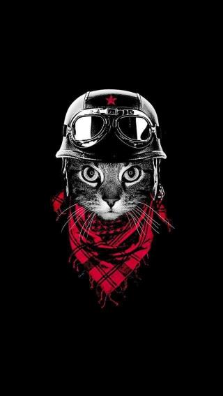 Biker Cat Portrait - Related Dark Wallpapers wallpaper