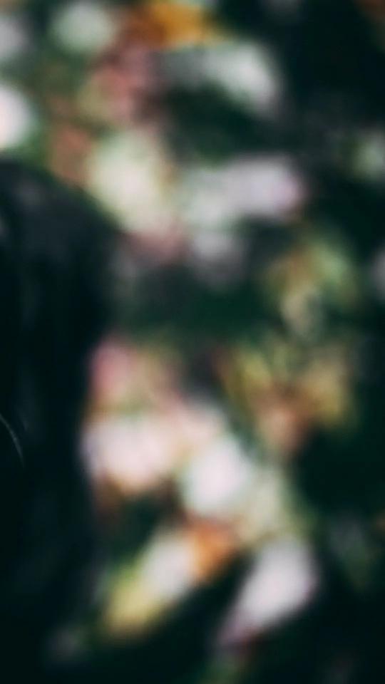 Blurred Floral Impression - Related Dark Wallpapers wallpaper