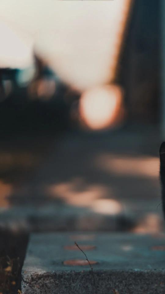 Blurred Urban Landscape - Related Anime Wallpapers wallpaper