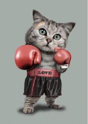 Boxing Cat of Love