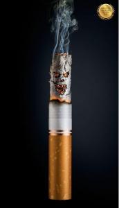 Burning Cigarette Still Life