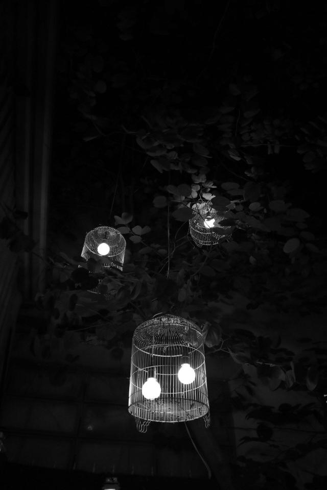 Caged Lights in Darkness - Related Dark Wallpapers wallpaper