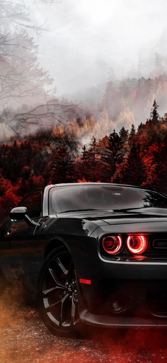 Challenger in Autumn Forest