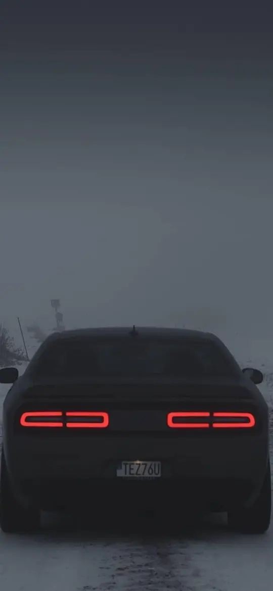 Challenger in the Fog