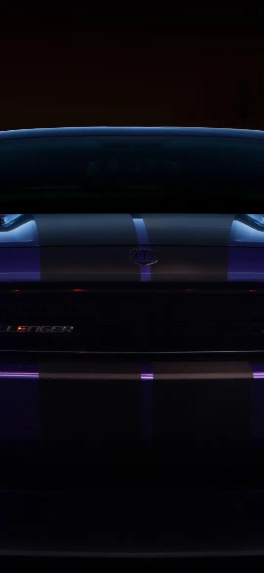 Challenger Purple Stripe