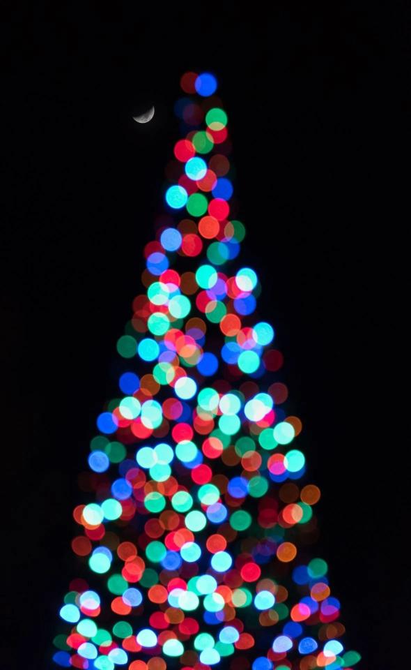 Christmas Lights Under Moon - Related Dark Wallpapers wallpaper