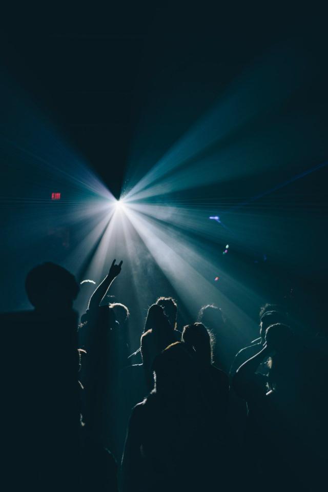 Concert Crowd Spotlight