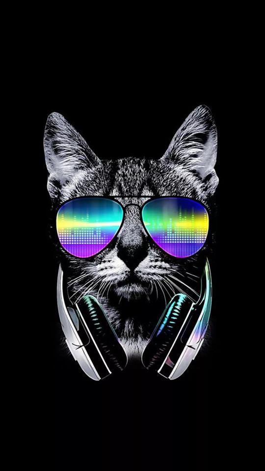 Cool Cat Beats